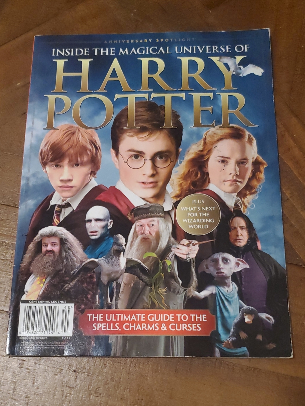 Warner Bros. Harry Potter Illustrated Guide Book - Blue and Gold